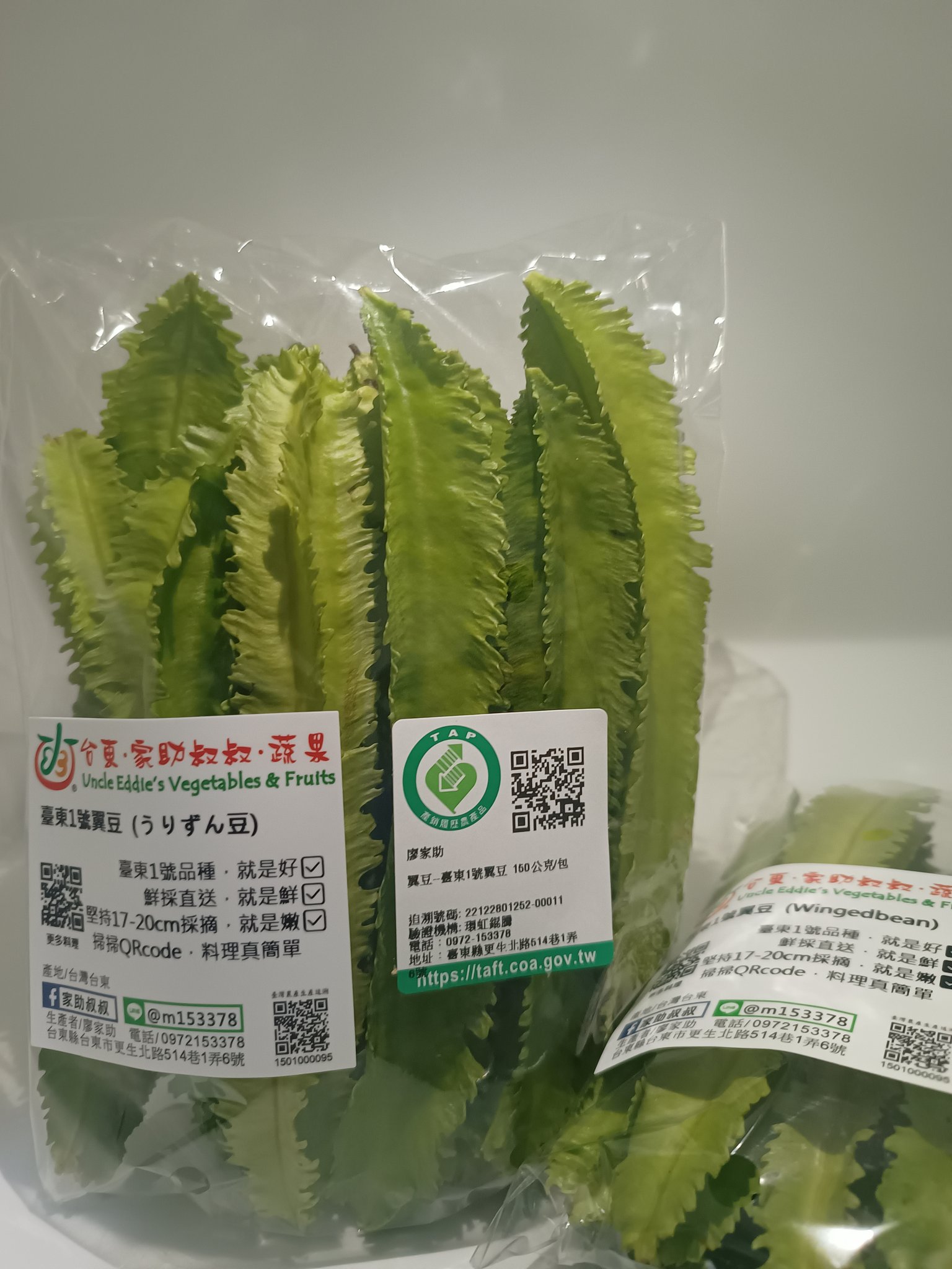 翼豆參展包裝